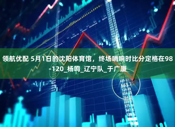 领航优配 5月1日的沈阳体育馆，终场哨响时比分定格在98-120_杨鸣_辽宁队_于广厦