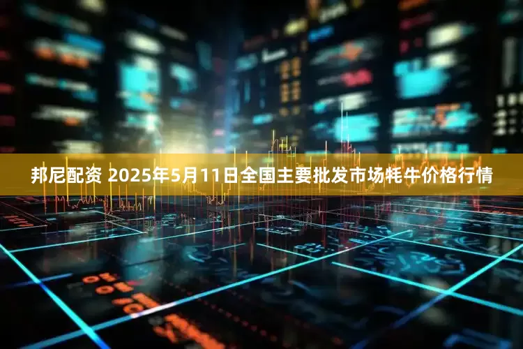 邦尼配资 2025年5月11日全国主要批发市场牦牛价格行情