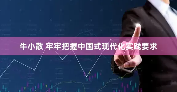 牛小散 牢牢把握中国式现代化实践要求