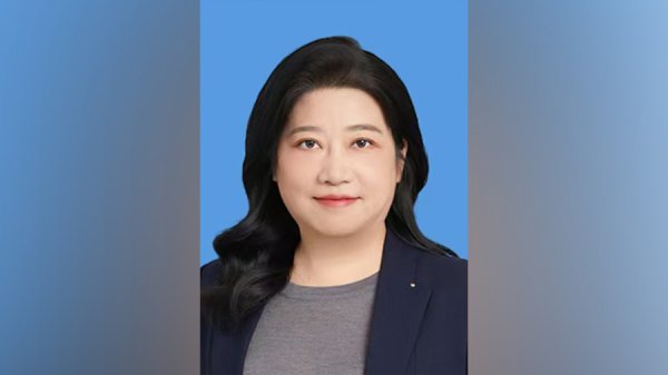 万德策略 安青、王敏履新，出任驻外大使