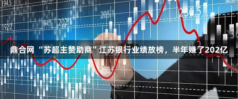 鼎合网 “苏超主赞助商”江苏银行业绩放榜，半年赚了202亿