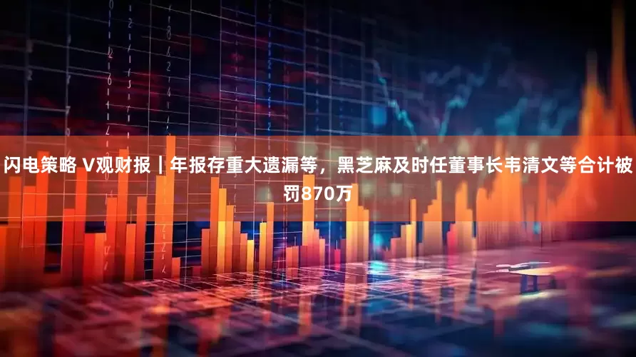闪电策略 V观财报｜年报存重大遗漏等，黑芝麻及时任董事长韦清文等合计被罚870万